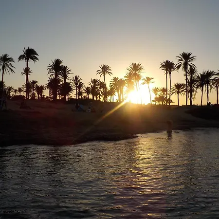 La Siesta Torrevieja